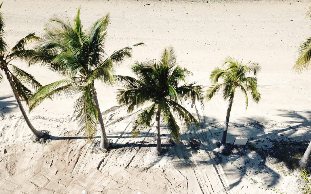 Hook Island Eco Resort