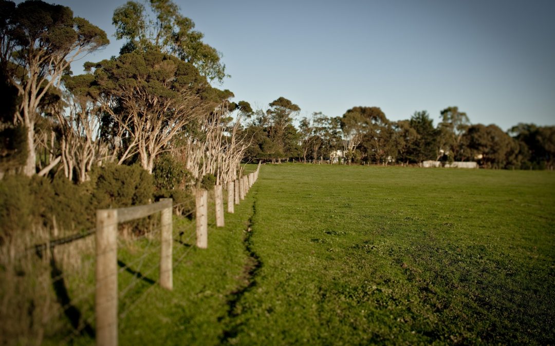 Pakenham East